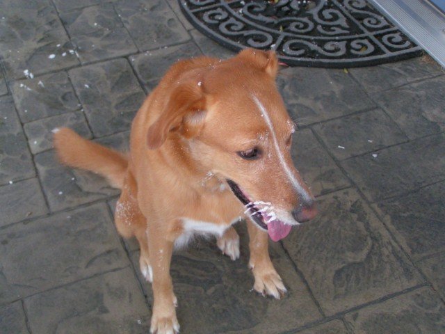 december20062.jpg