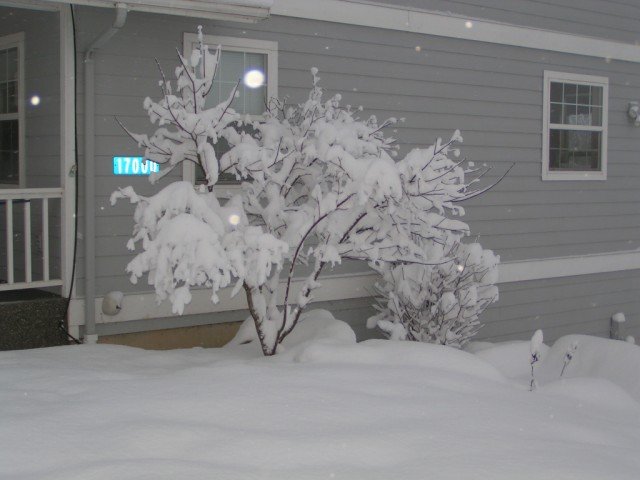 december20066.jpg