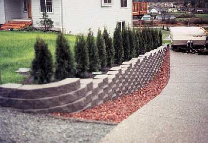 The end!